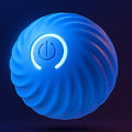  Blue Jumping Ball 67mm